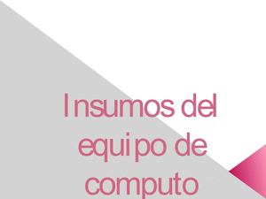insumos del equipo de computo