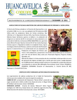 Dirección Regional Agraria Huancavelica 12