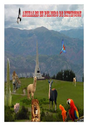 ANIMALES EN PELIGRO DE EXTINCION DE AYACUCHO PERU