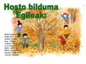 HOSTO BILDUMA 6B2
