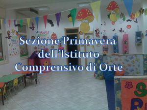 La nostra "Sezione Primavera"