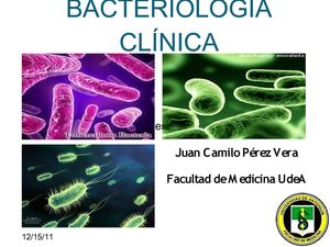 Las Bacterias "Enemigos Microscopicos"