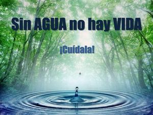 Sin agua no hay vida