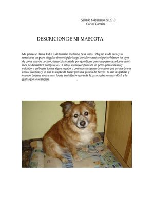 Descrición de Tul