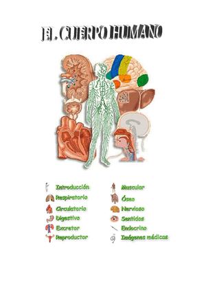 LOS APARATOS DEL CUERPO HUMANO