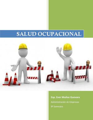 Salud Ocupacional - Sistema General de Riesgos Profesionales