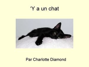 Y a un chat