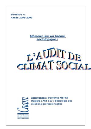 audit du climat social - 2008 2009