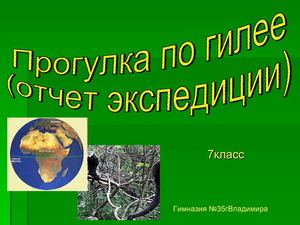 Экваториальный лес