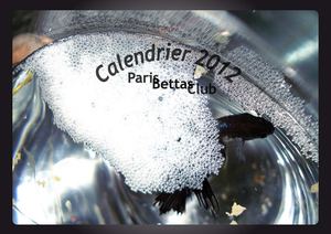 Paris Bettas Club - Calendrier 2012