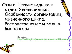 Плауны и хвощи