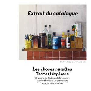 extrait "Les choses muettes" Gael Charbau sur Thomas Lévy-Lasne