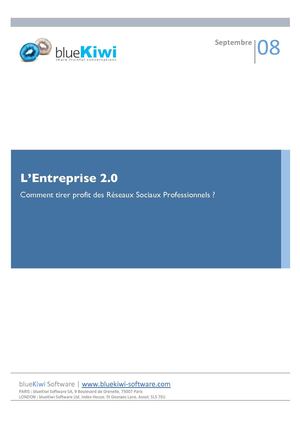 L’Entreprise 2.0 - Comment tirer profit des Réseaux Sociaux Professionnels