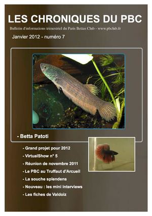 Les Chroniques du PBC - N°7