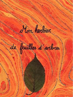 De l'Arbre de Judée au Chêne