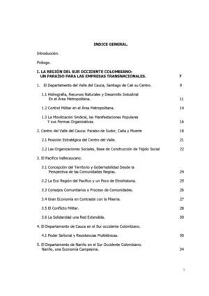 Privatización, derechos humanos, recursos naturales y Empresas Transnacionales: sector eléctrico colombiano 