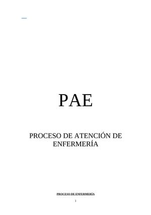 FORMATO PAE FIN