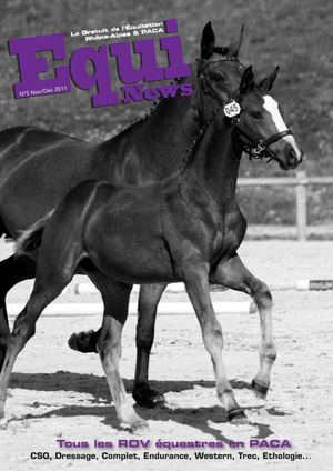 Equi News PACA N°5 Novembre Décembre 2011