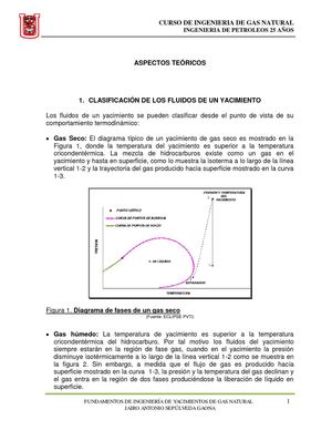 FUNDAMENTOS DE INGENIERIA DE GAS NATURAL