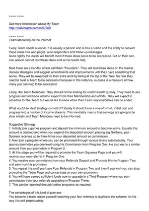 Team Marketing on the Internet