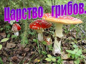Царство грабов.