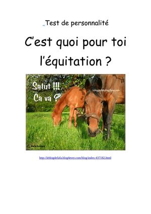 Test de personnalité cheval : c'est quoi pour toi l'équitation ?