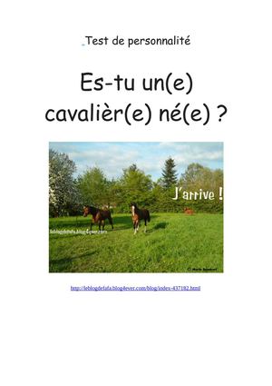 Test de personnalité cheval et poney : Es-tu un(e) cavalièr(e) né(e) ?