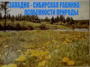 Западно-Сибирская равнина.