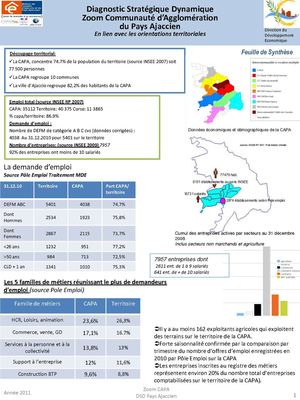 Zoom CAPA