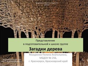 Загадки дерева