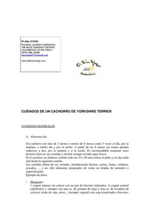 Cuidados de un cachorro