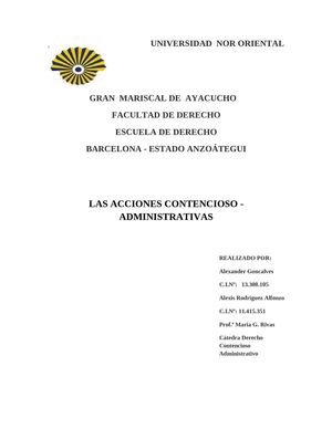 LAS ACCIONES CONTENCIOSO