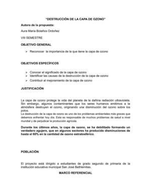 DESTRUCCIÓN DE LA CAPA DE OZONO