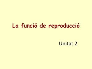 Activitats Unitat 2