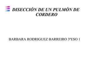 Disección pulmón (Bárbara Rodríguez)
