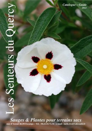 Catalogue - Guide 2012