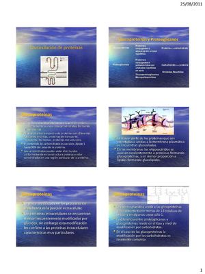 GLICOSILACIÓN DE PROTEÍNAS