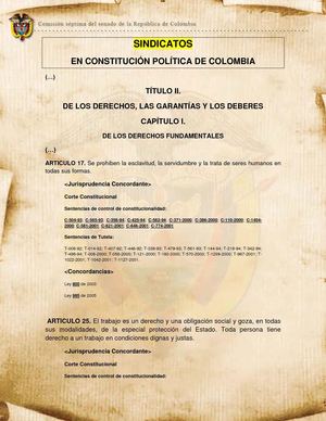 Constituccion Politica de los Sindicatos