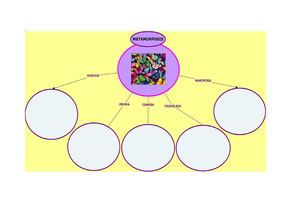MAPA PRECONCEPTUAL