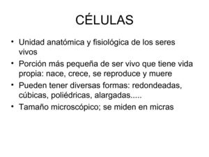 celulas