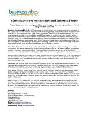 BusinessVibes helps to create successful Social Media Strategy