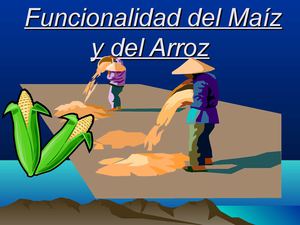 Funcionalidad del Maiz y del Arroz