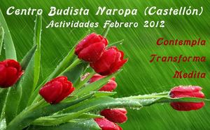 Boletín Naropa - Febrero 2012