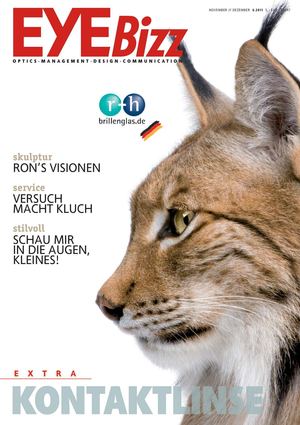 F_EYEBizz 2011-6