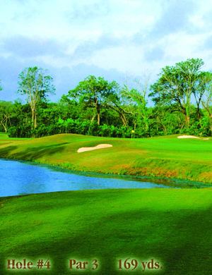 The Wilderness at Lake Jackson