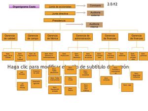 organigrama cazta