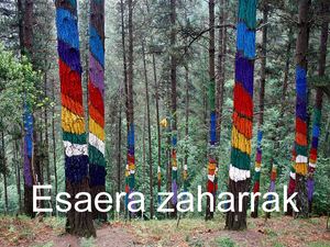 Esaera zaharrak