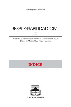 la responsabilidad civil 2