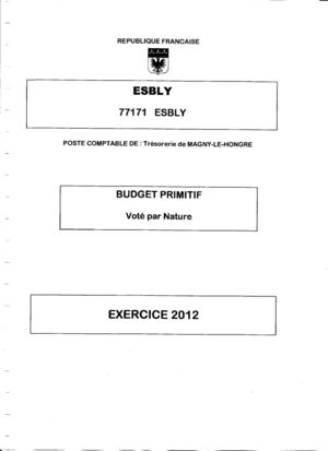 Esbly CM 090212 Budget Primitif VILLE 2012