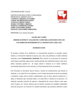 TRABAJO FINAL DE PROBLEMAS AMBIENTALES